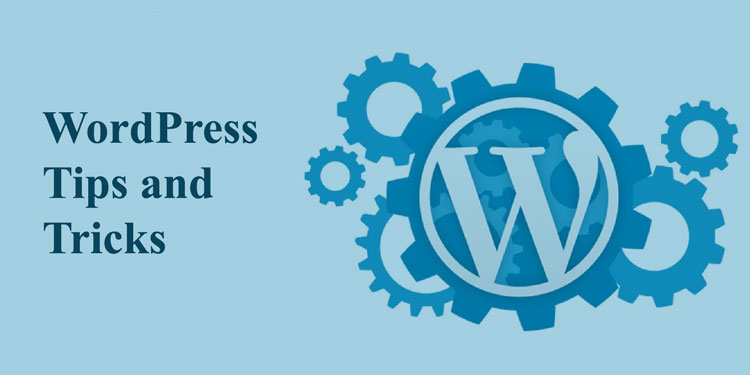 WordPress website tips
